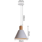 Macaron Single Head Adjustable Iron Pendant Lamp