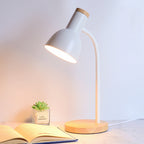Nordic LED Desk Lamp with Adjustable Brightness and USB Power
