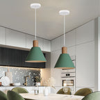 Macaron Single Head Adjustable Iron Pendant Lamp
