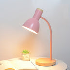 Nordic LED Desk Lamp with Adjustable Brightness and USB Power